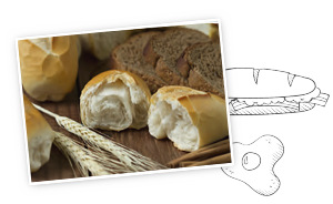 brood